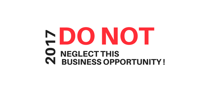 Do Not Neglect Your Business Opportunity 2017