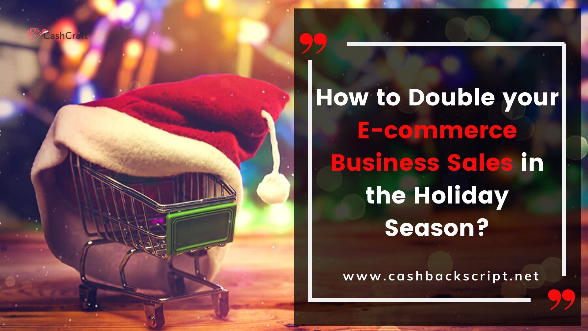 How to Double your E-commerce Business Sales in the Holiday Season?