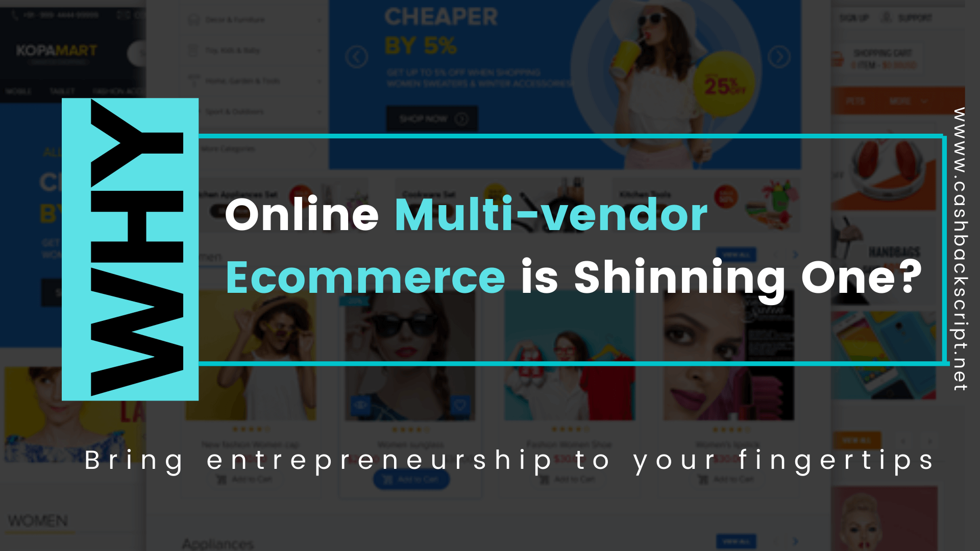 Why Online Multi-vendor Ecommerce is Shinning One?